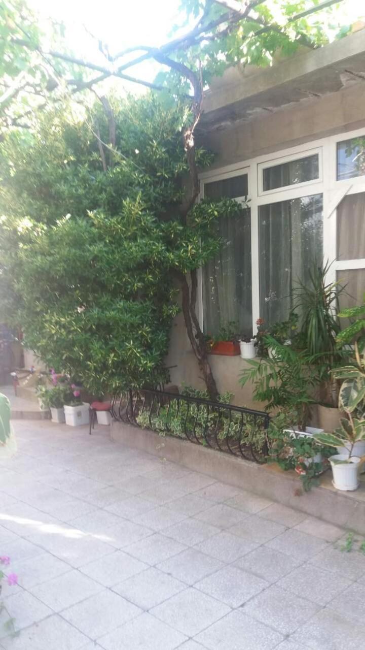 Kyshta Za Gosti Dari Rumi 1 Sosopol Exterior foto